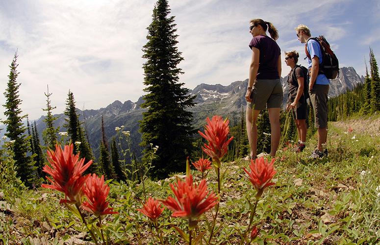 Hiking Tips for Fernie's Trails