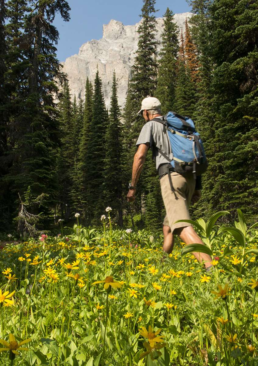 Photograph from Hiking Tips for Fernie's Trails