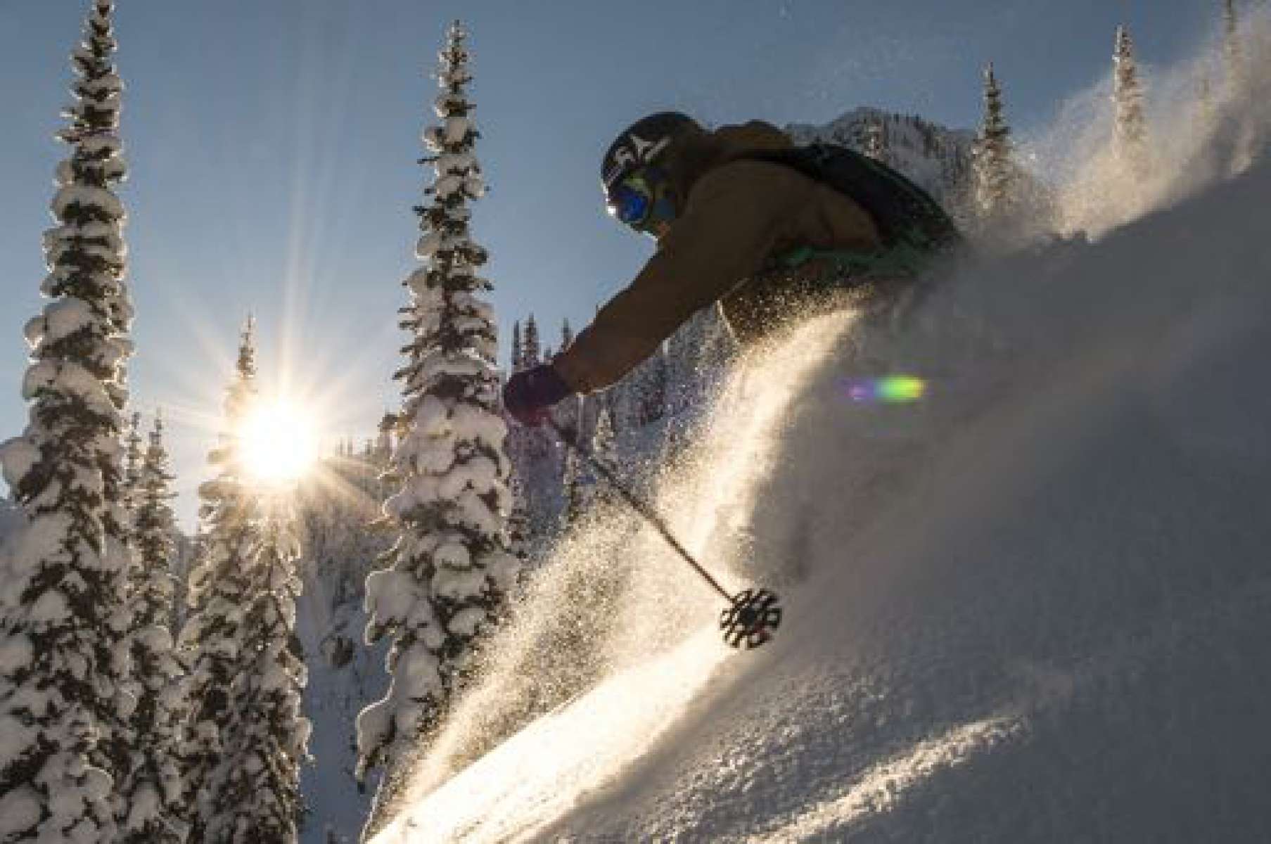 Photograph from Summer Glading Makes Great Tree Skiing