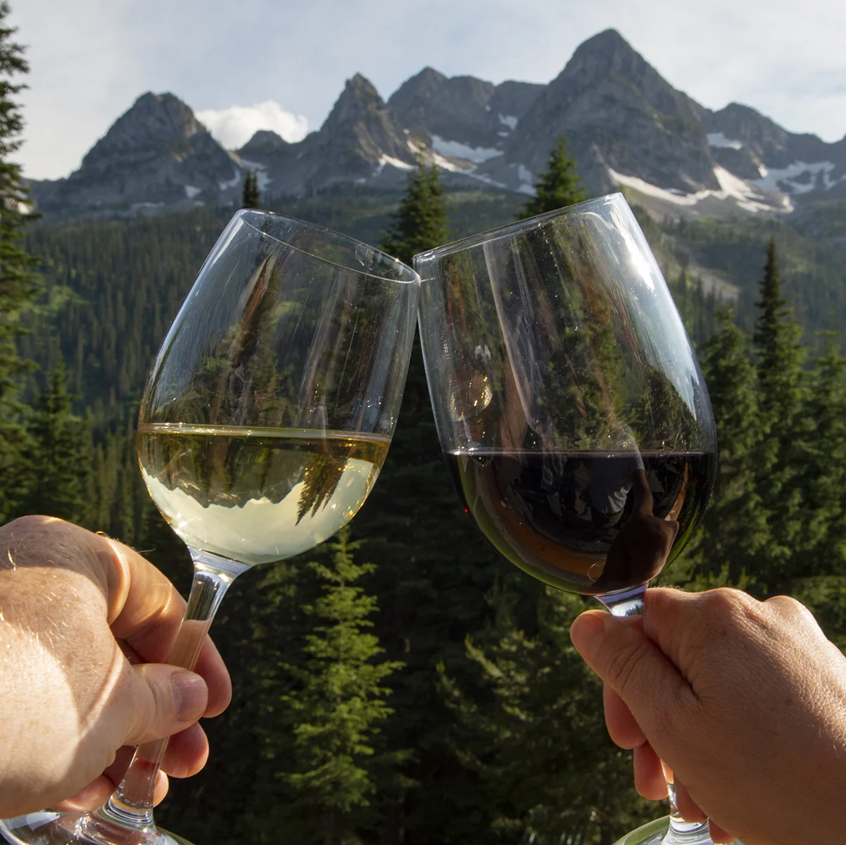 The Wine Library at Island Lake