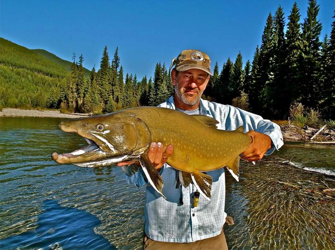 Fly Fishing in Fernie at Island Lake