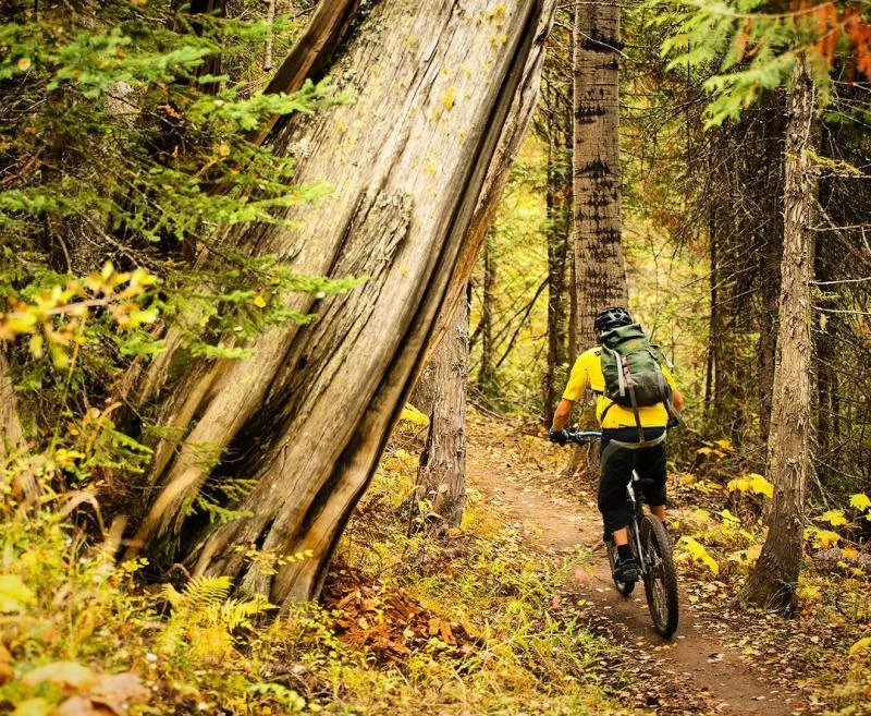 Mountain Biking at Island Lake
