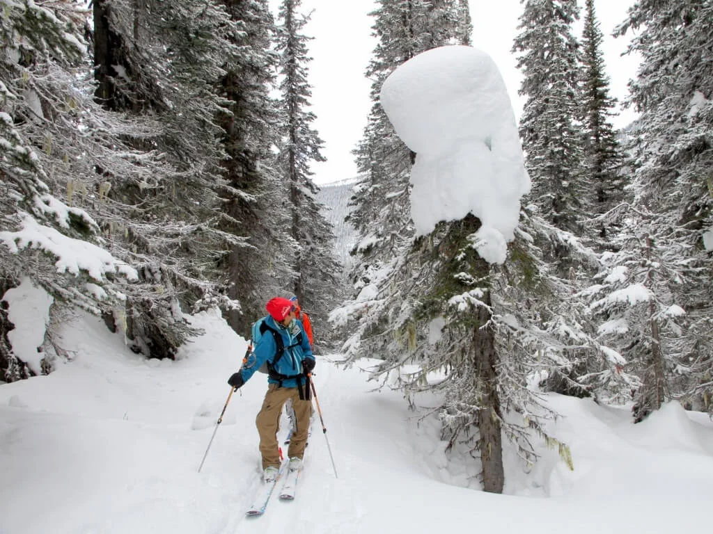 Talus Lodge winter skiing destination