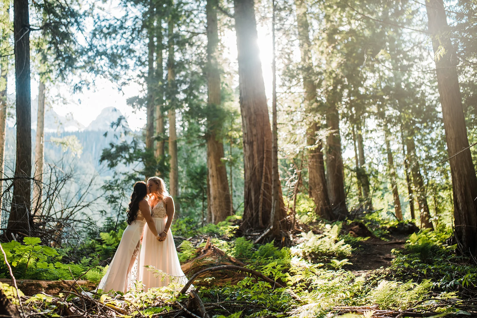 A wedding couple in a sunlit forest above Island Lake